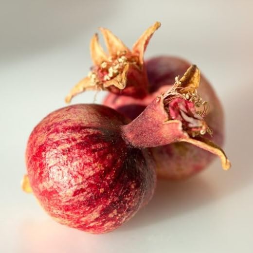 Live Dwarf Pomegranate Plant (Punica Granatum) - Compact, Ornamental Fruit Bearing Shrub, Indoor/Outdoor (4 pom-Dwarf Cups)