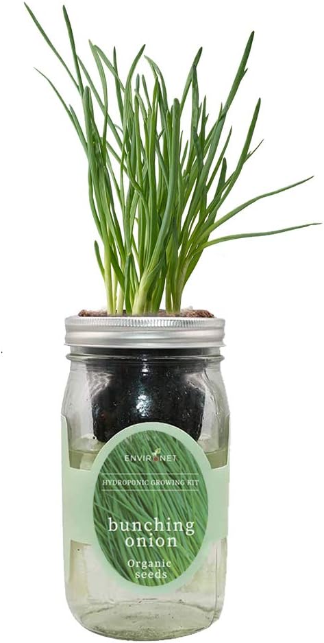 Hydroponic Vegetable Growing Kit, Self-Watering Mason Jar Vegetable Garden Starter Kit Indoor, Grow Bunching Onion from Organic Seeds (bunching Onion)