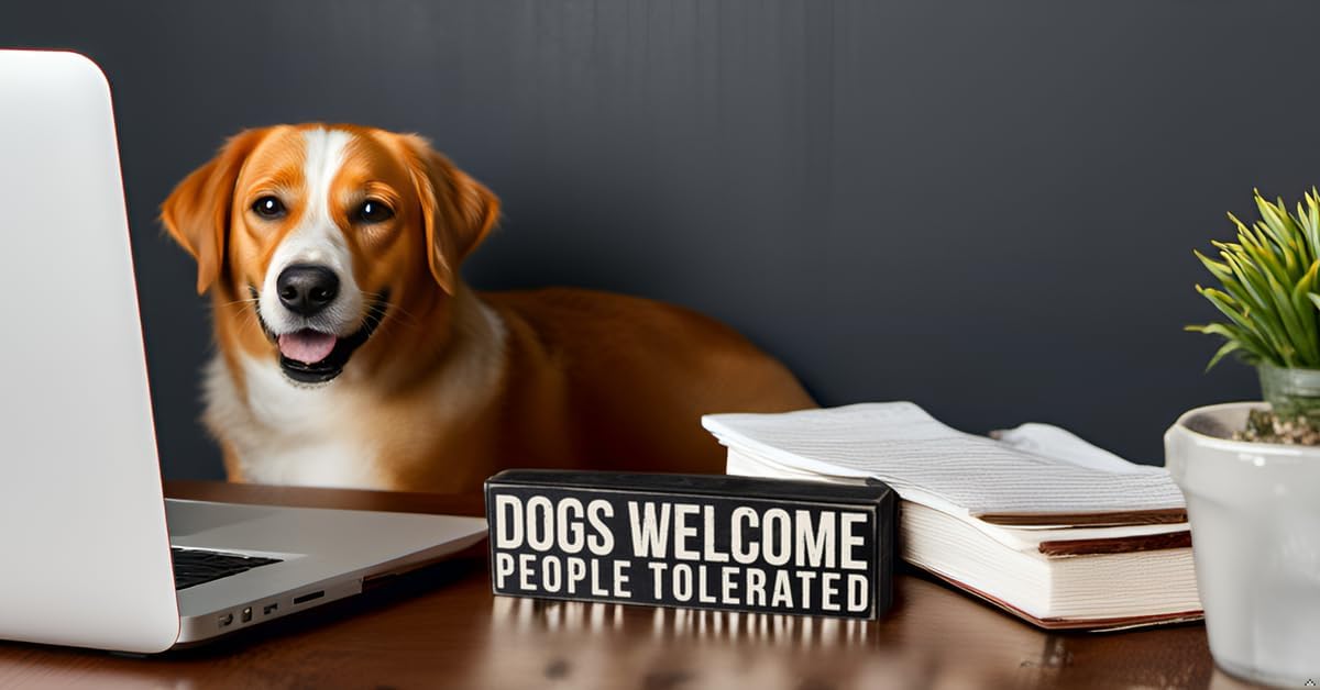 Primitives by Kathy Rustic Wooden Decor Sign - 'Dogs Welcome, People Tolerated' - Office/Farmhouse Decor, Dog Lovers Gift, 5"