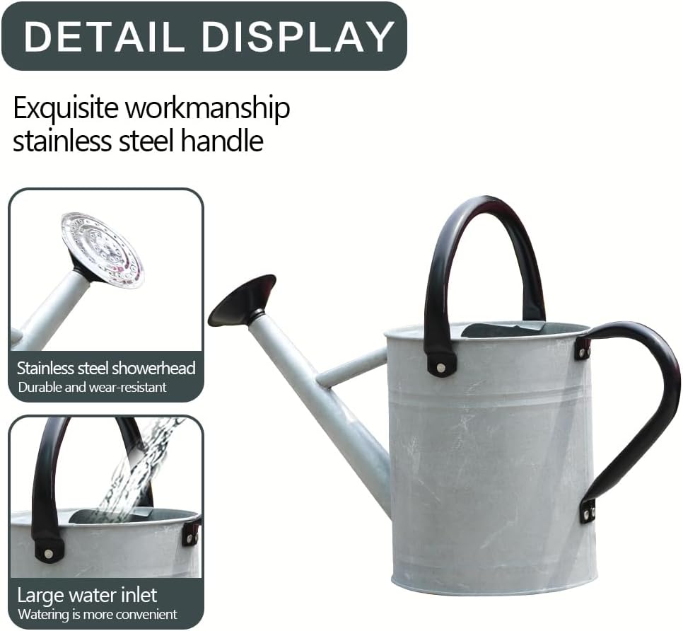 Metal Watering Can, One Gallon Watering Cans Stainless Steel for Outdoor Indoor Garden Plants Watering (Silver 1 Gallon)