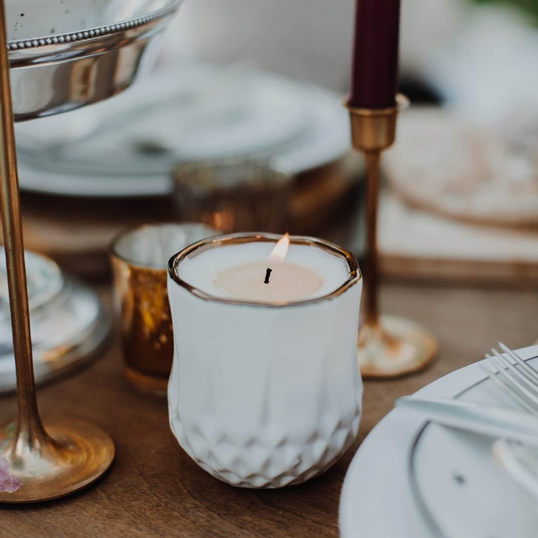 The Growing Candle, Lemongrass Scented, 9oz Ceramic Pot, Single Wick Aromatherapy Candles, 100% Soy for Women and Men, Astrid