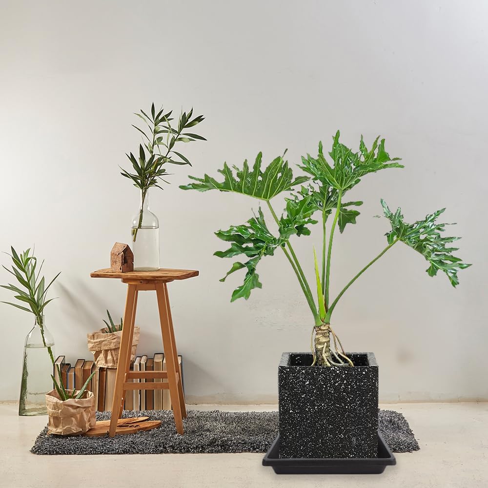 16 Inch Square Plant Saucer 4 Pack, Plant Saucers for Indoors, Large Heavy Duty Plastic Flower Plant Trays for Pots, Under Plant Water Catcher Tray for Potted Plants Outdoors Planter Water Tray