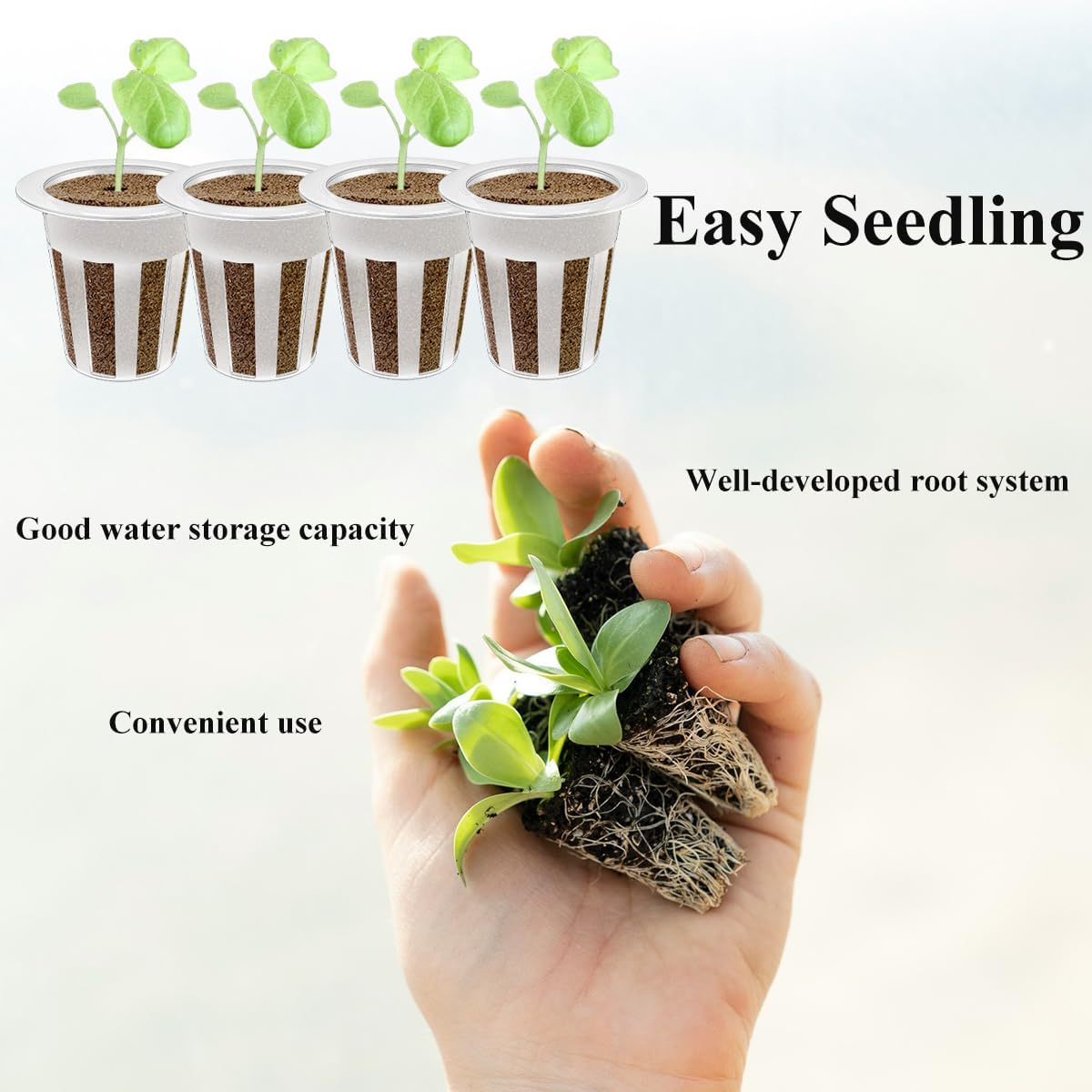 80 Pcs Hydroponic Seeds Grow Sponges Pods Kit,Indoor Hydroponics Growing System Root Plant Basket,Hydroponic Pods Cups Pot and Grow Sponges for Garden Indoor Herb Hydroponic Growing System