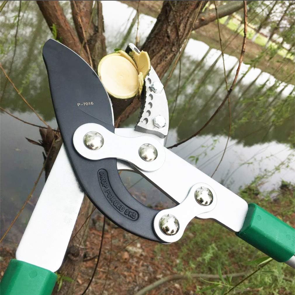 SK5 High-Performance Compound Action Anvil Lopper,Chops Thick Branches with Ease,2 Inch Cutting Capacity,28inch-40inch Telescoping Lopper, Tree Trimmer with Sturdy&Comfortable Handle