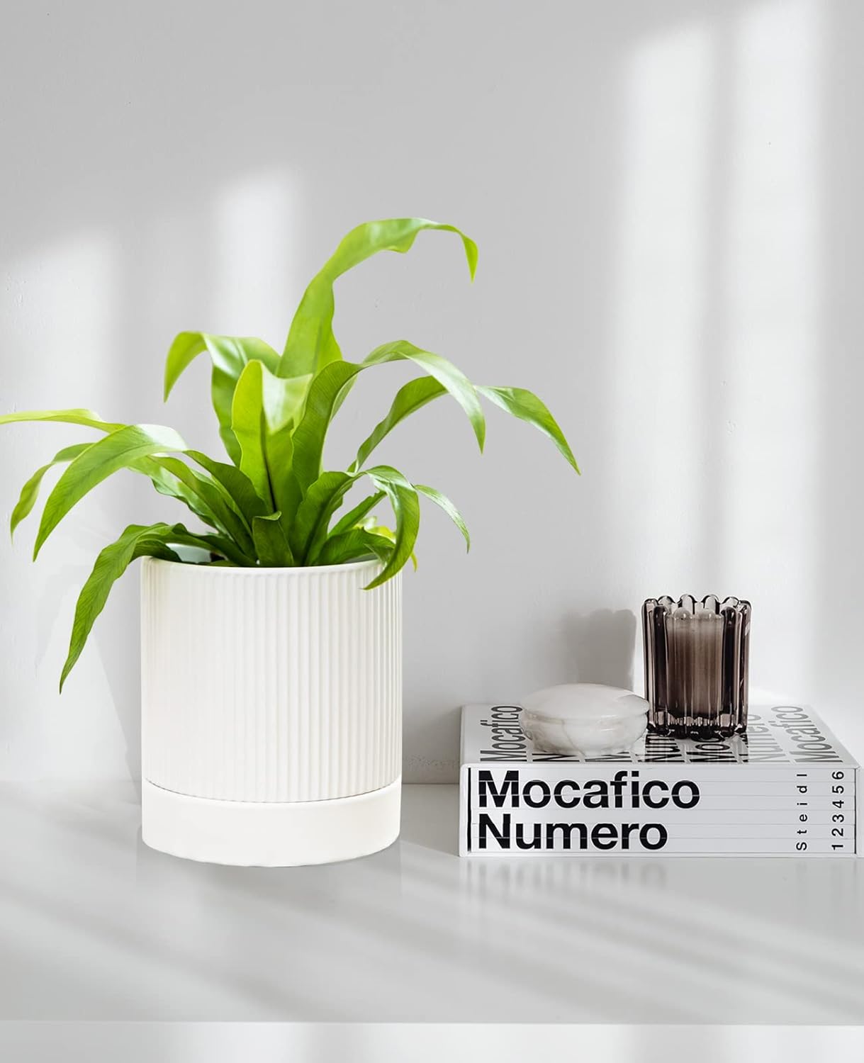 LaDoVita 3 Pack Ceramic Plant Pots 6/5/4 inch, Flowerpot for Indoor Plants with Drainage Holes and Tray, Outdoor Garden Planters, Modern Decorative for Home, White Vertical Stripes