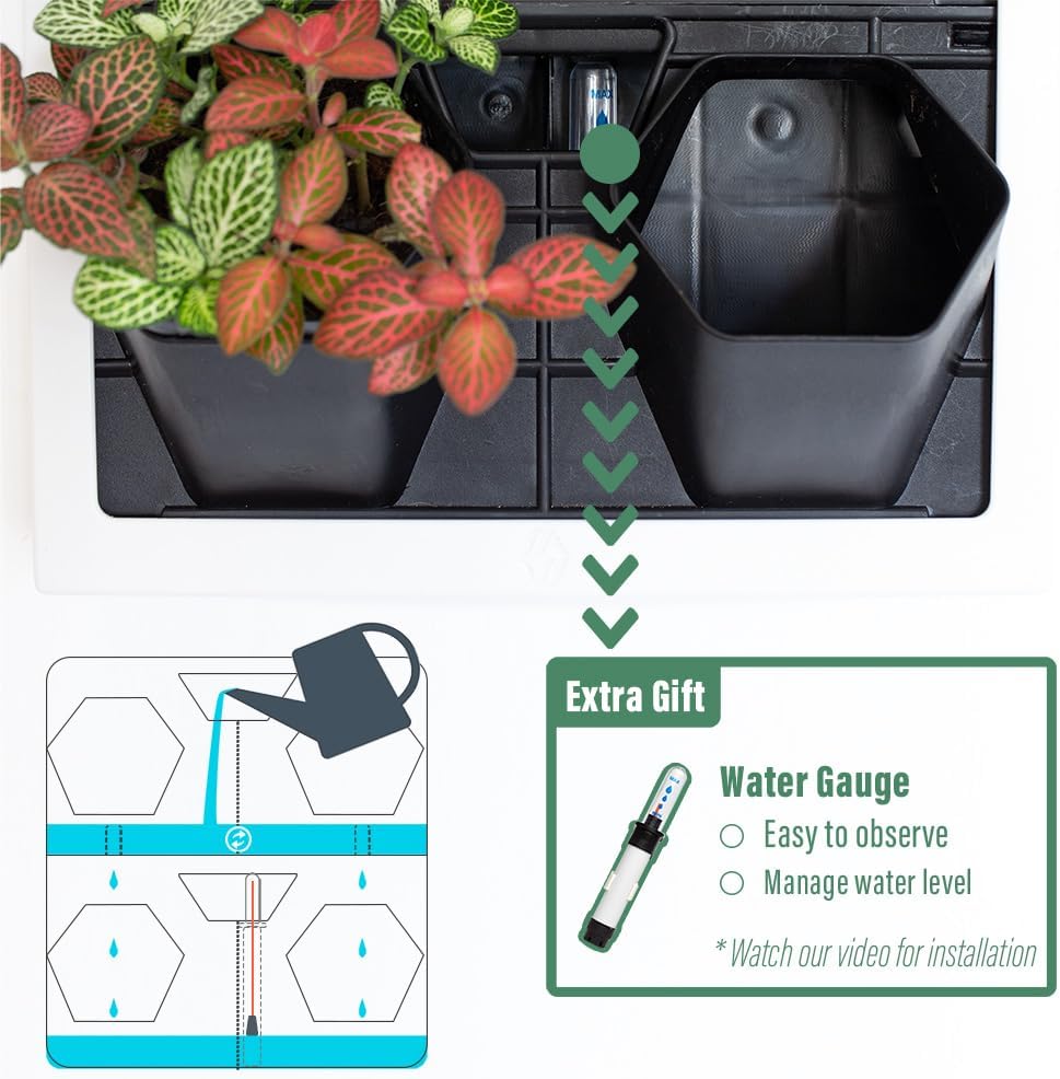 Self Watering Wall Planter with 4 Pots - Easy to Create Indoor Living Wall for Home, Office and Shop Front - Includes Water Gauge (White)