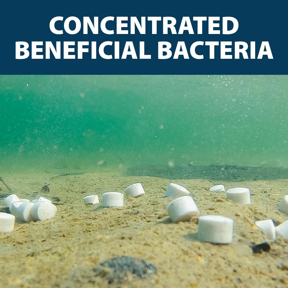 Airmax MuckAway, Natural Pond Muck Remover, Cleans & Clears Away Muck & Sludge, Easy to Use Bacteria & Enzyme Tablets, Safe for The Environment, Treats 1,500 Sq Ft, 6 Month Supply, 16 Scoops, 8 lbs