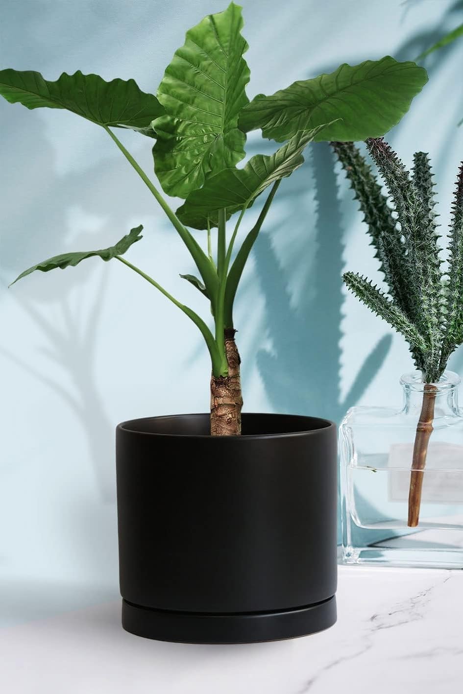 Ceramic Plant Saucer Pot Tray 10 Inch, Planter Saucers 4 5 6 7 8 9 10 11 12 13 Inch for Indoors Outdoor, Durable Sturdy Flower Drainage drip Water Tray for Glazed Pots Base (10.7 Inch-Black)