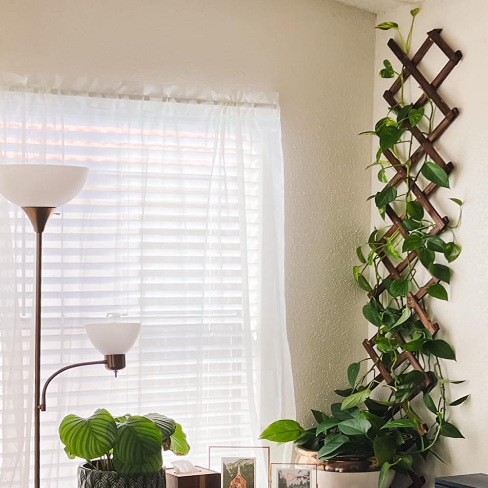 Expandable Garden Trellis, Wooden Lattice Wall Fence Trellis for Climbing Plants Ivy Vine Rose Clematis 13" x 68" for Outdoor Garden Patio Room Decor (1)