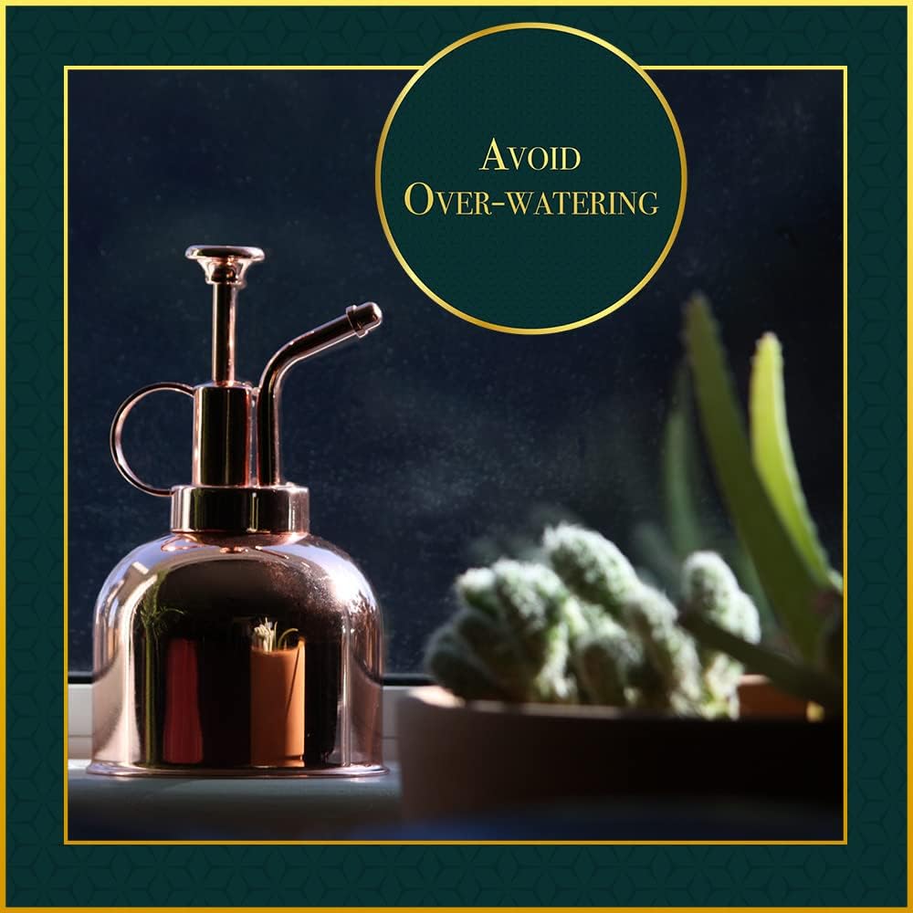 Plant Mister Spray Bottle (Rose Gold, Gold, Silver, Black)