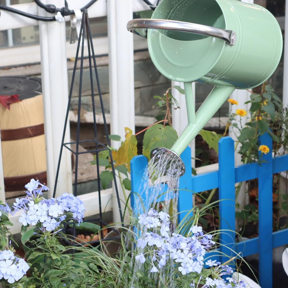 Metal Watering Can, One Gallon Watering Cans Stainless Steel for Outdoor Indoor Garden Plants Watering (Cream Green)