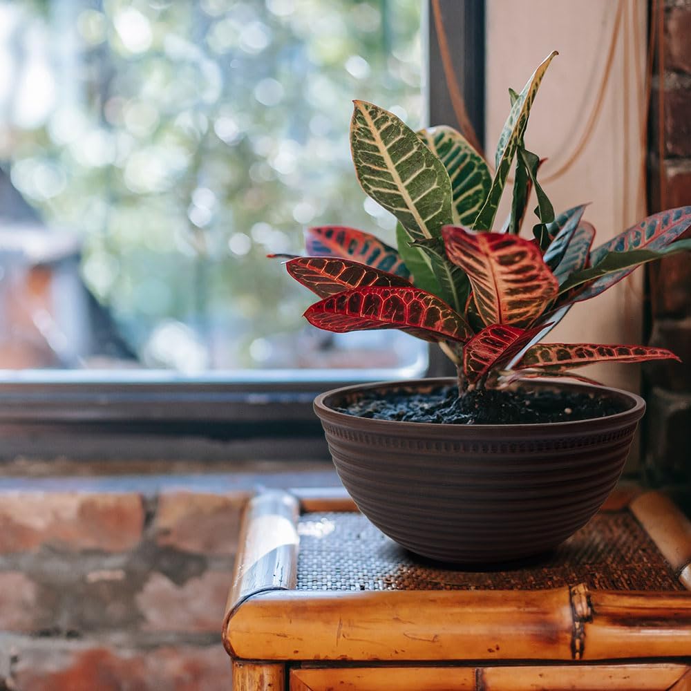 2 Pack 10 Inch Plant Pots,Durable Decorative Flower Pots Planters with Drainage Hole for Indoor and Outdoor Plants,Flowers,Succulents, Brown