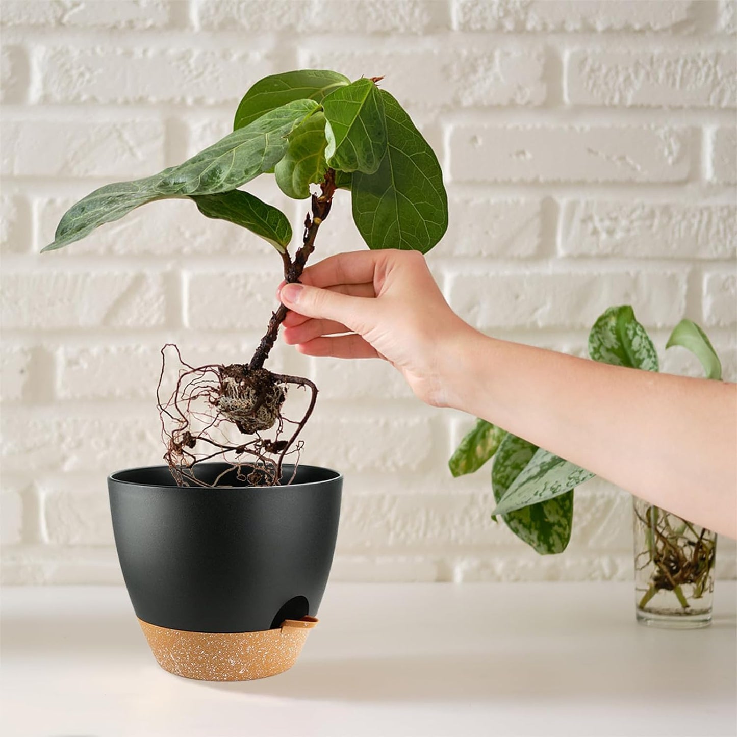 Indoor Pots For Plant Self Watering Plant Pots For Lazy People, 8/7.5/7/6.5/6/5.5/5 Inch,Black Plastic Self Watering Planter For All Houseplants,Succulent, African violets, Flowers And Cactus