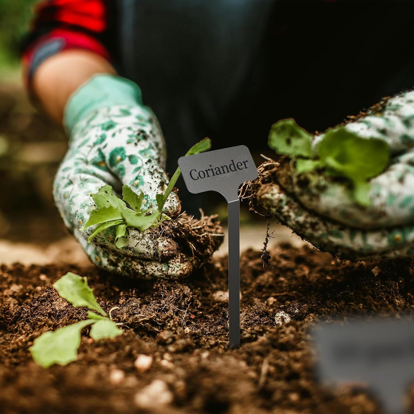 Stainless Steel Plant Labels, Metal Waterproof Plant Markers,Height 12.75 in, Label Area 2.5 in*1.25 in resuable Nursery Tags for Vegetables herb Flower Seed Green House- 20-Pack