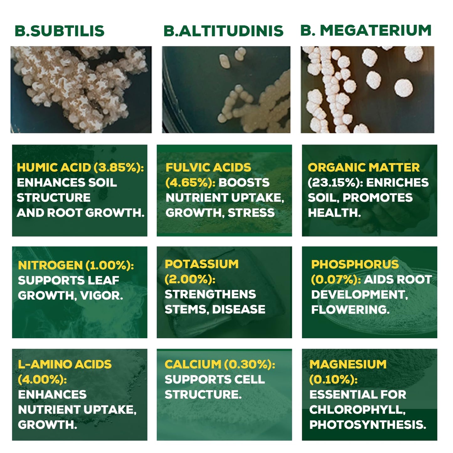 Organic Liquid Plant Food for Indoor Plants & Gardens, Natural NPK Fertilizer w/Beneficial Microbes, Rapid Results, Vegan, Best Value Super Concentrate, Smart Grower, Makes 160 Gallons (32 Fl Oz)