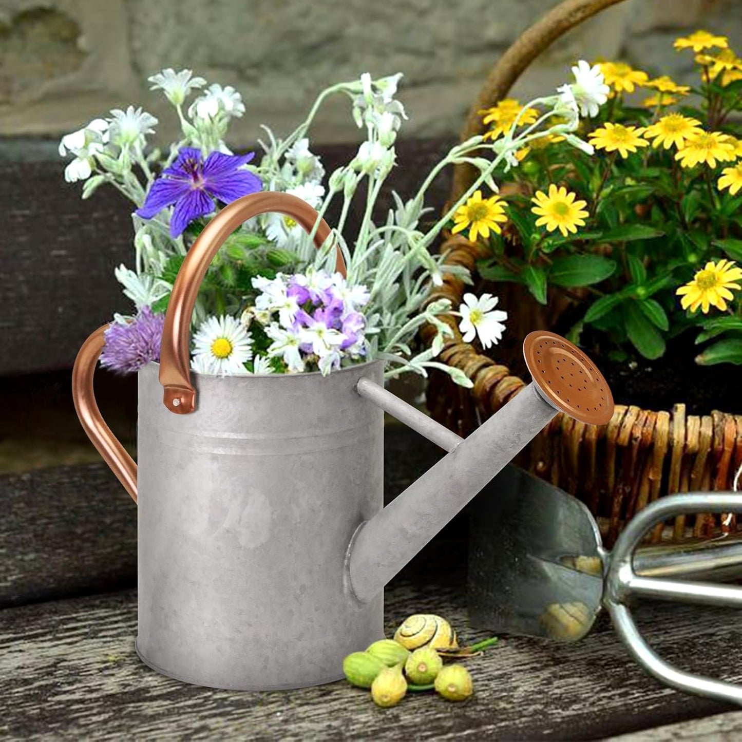 Metal Watering Can with Removable Spout, Galvanized Watering Can, Perfect for Indoor Use and for Outdoor Use (1 Gallaon, Green)