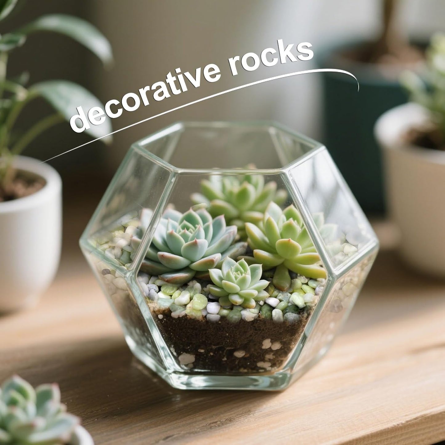 Calofulston 10 lb Small Pebbles for Indoor Plants, 3/8 Inch Decorative Rocks for Lucky Bamboo Plants Pot, Succulent, Vase, Cactus, Landscaping, Polished Jade Rocks for Plants Indoor, Green