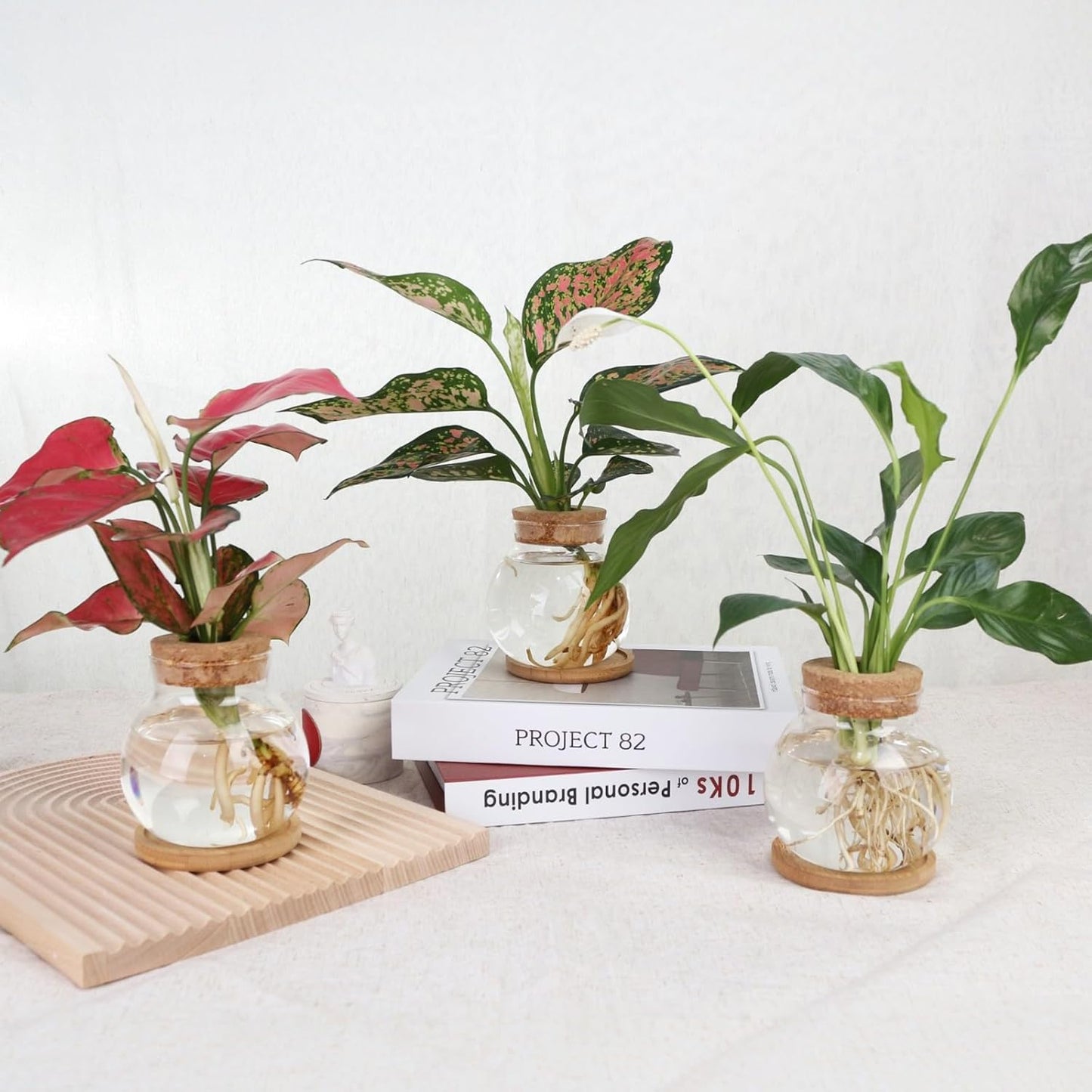 Plant Propagation Station,Hydroponic Glass Container Vase Jars, with Wooden Saucer for Desks, Houses, Garden Decorations, Home Kitchen Decorations and Gifts for Plant Lovers (2)