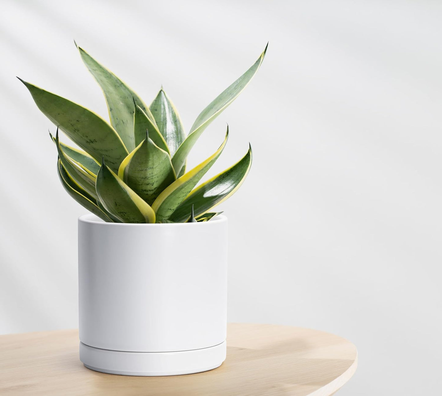 D'vine Dev 6 Inch & 8 Inch & 10 Inch, Set of 3 Round Ceramic Planter Pot with Drainage Hole and Saucer, White, 94-T-L-1