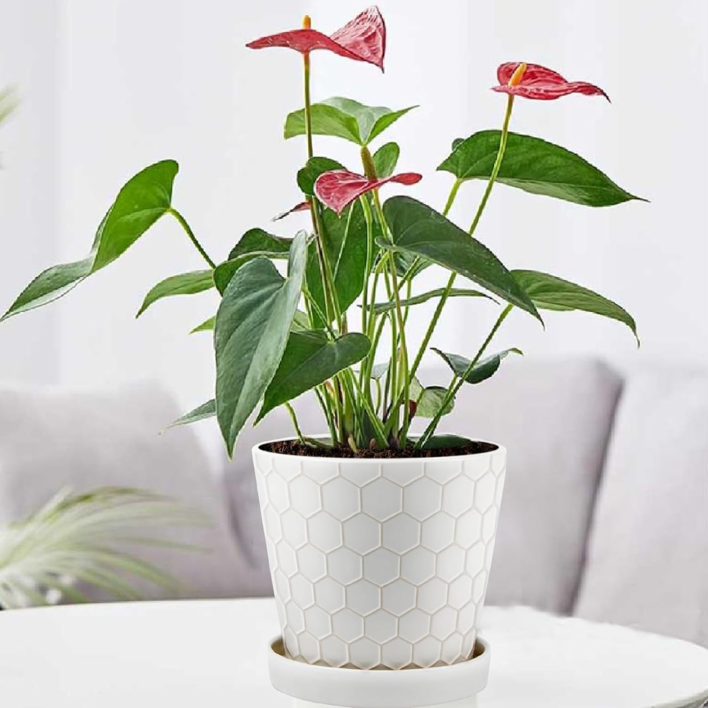 Ceramic Plant Pots,4+5+6 Inch Pots for Indoor Plants,Planters with Drainage Holes and Ceramic Tray, Indoor Flower Pots Gardening Home Desktop Office Windowsill Decoration Gift,Set of 3 (White)