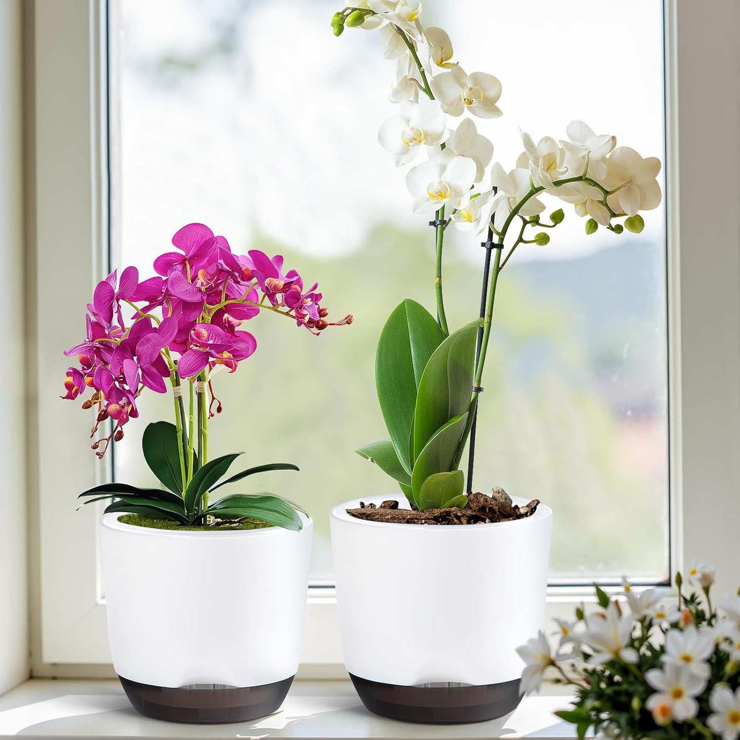 QCQHDU 2 Pack Orchid Pots with Holes for Repotting, Double-Layer and Self Watering Orchid Pot with Good Air Circulation