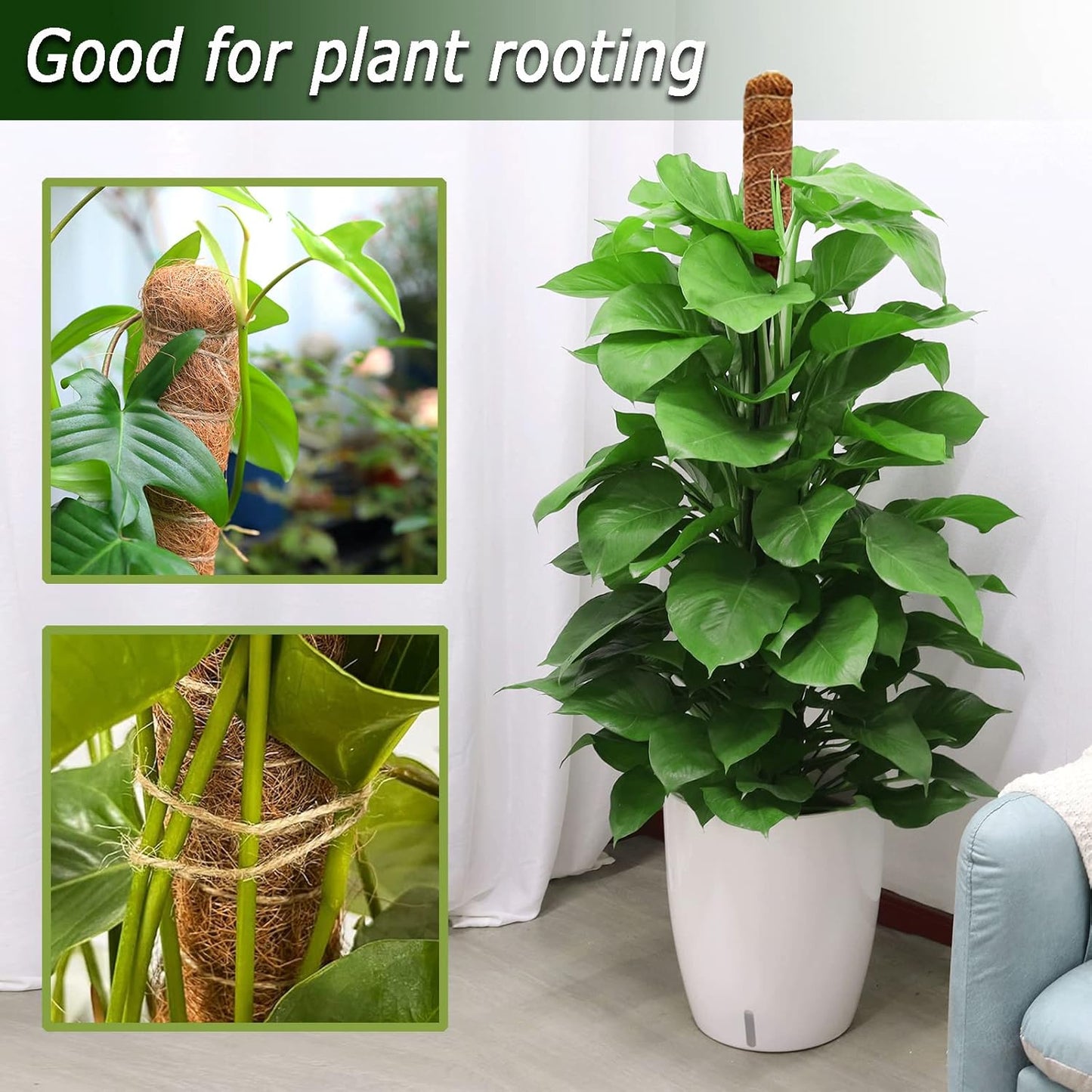 Moss Pole for Plants Monstera, 59 Inch Tall Bendable Moss Poles for Climbing Plants Indoor, Large Handmade Plant Pole Sticks, Coco Coir Plant Support Stakes for Potted Plants, Pothos