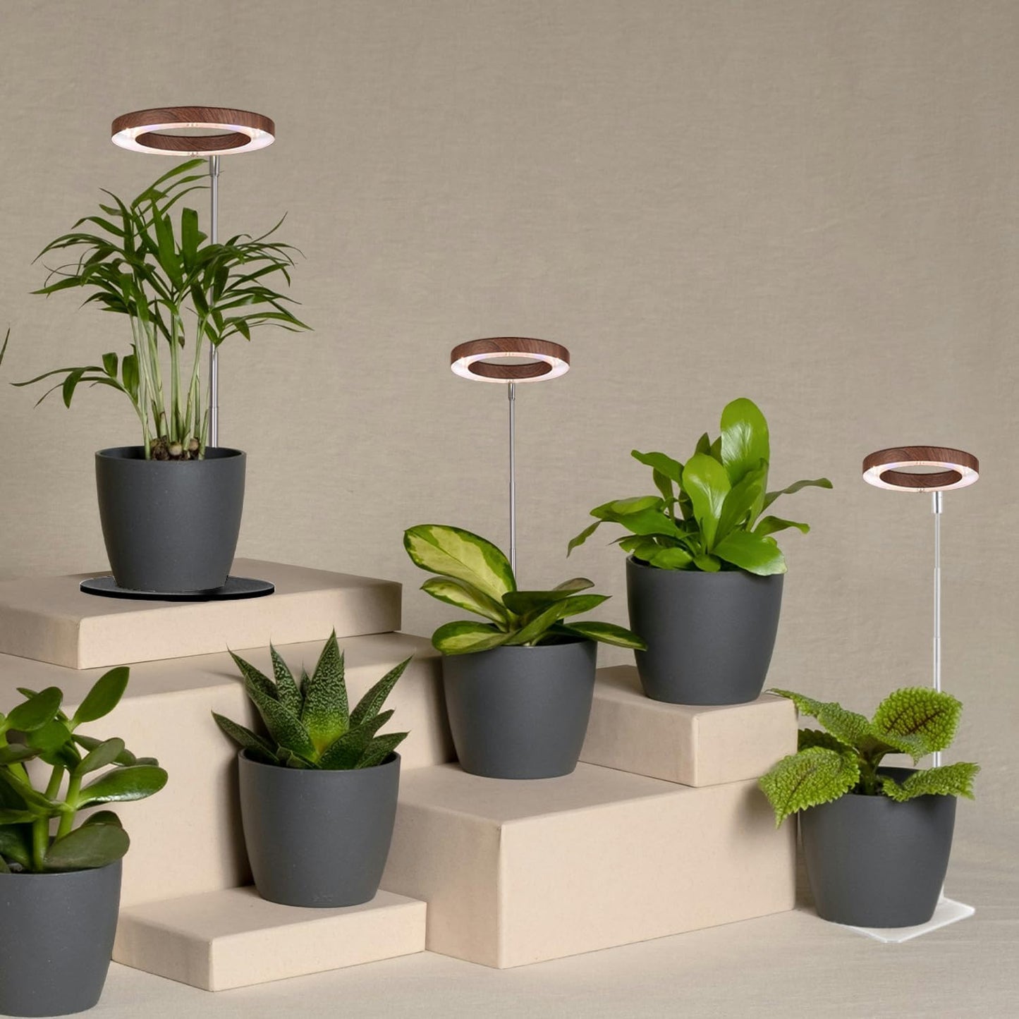 yadoker 144 LEDs Plant Grow Light for Indoor Plant,Aluminum Walnut Wood Grain Desk LED Grow Light, Height Adjustable,6.3" Aluminum Housing,Automatic Timer with 8/12/16 Hours,10-Level Brightnes