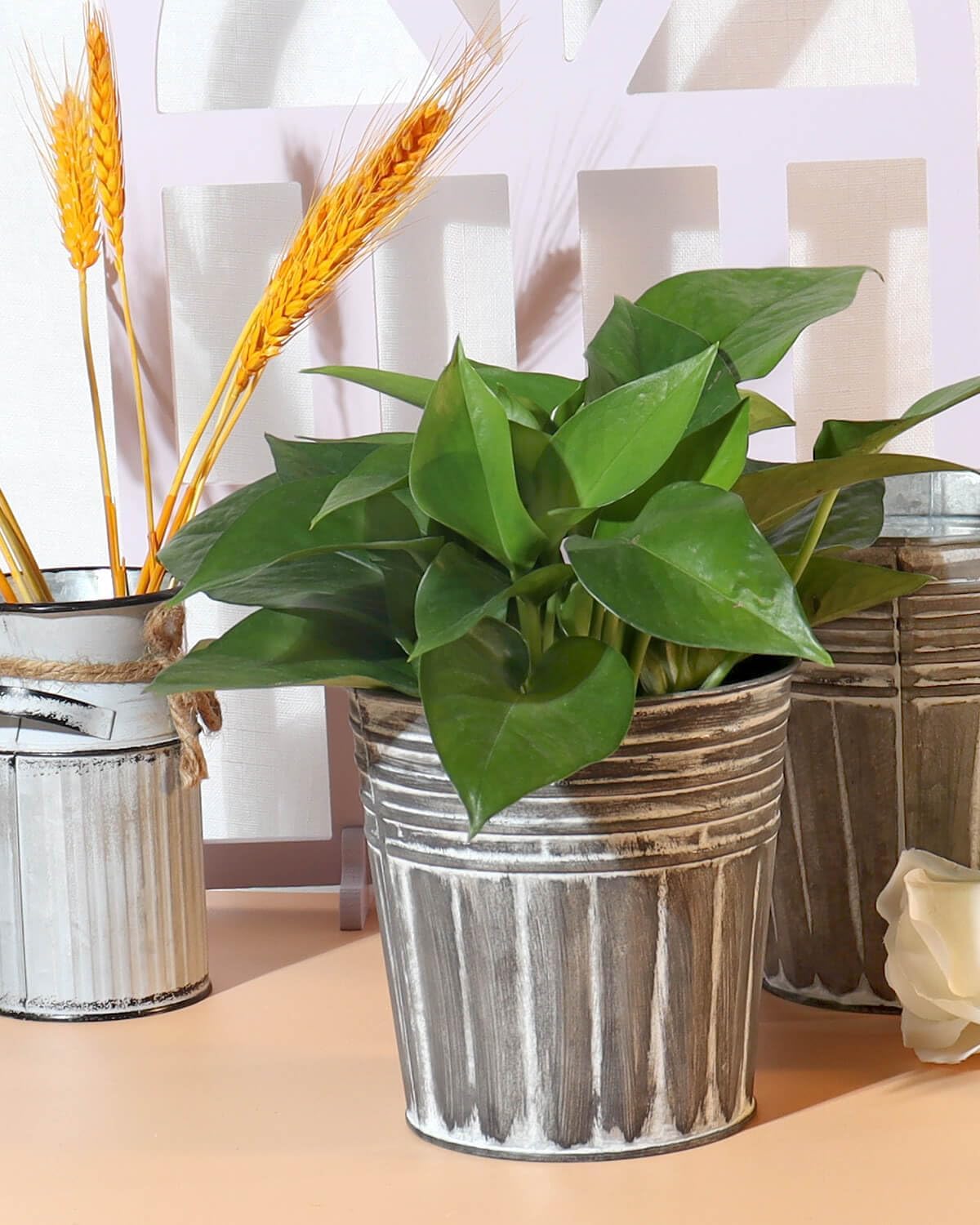 vensovo 5 Inch Silver Metal Rustic Flower Pots - 6Pcs Medium Galvanized Planters with Drainage Hole and Rubber Plug, Rustproof Metal Bucket Plant Pots Farmhouse Vintage Style for Decor