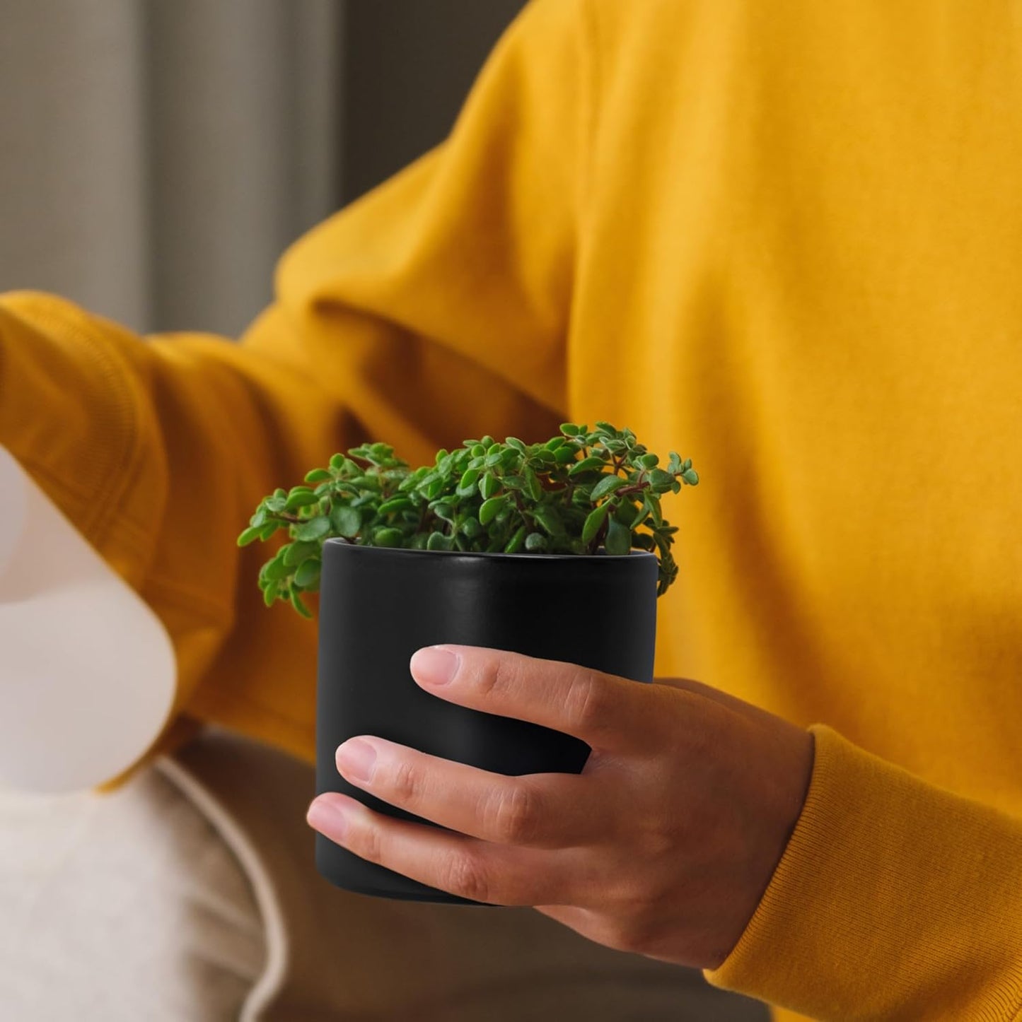 D'vine Dev Set of 4 Small Ceramic Plant Pots, 3.5 Inch Succulent Planter Pot for Plants with Drainage Hole and Saucer, Black, 94-X-A-2