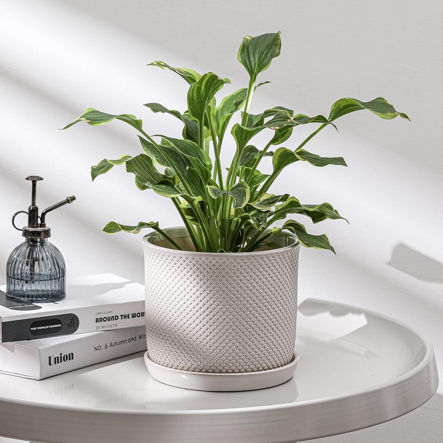 8 Inch Plant Pot: Ceramic Planter with Drainage Hole & Saucer Indoor Outdoor Plants - Flowerpot with Bonded Tray for Home Office - Beaded Embossed Style, Cream White