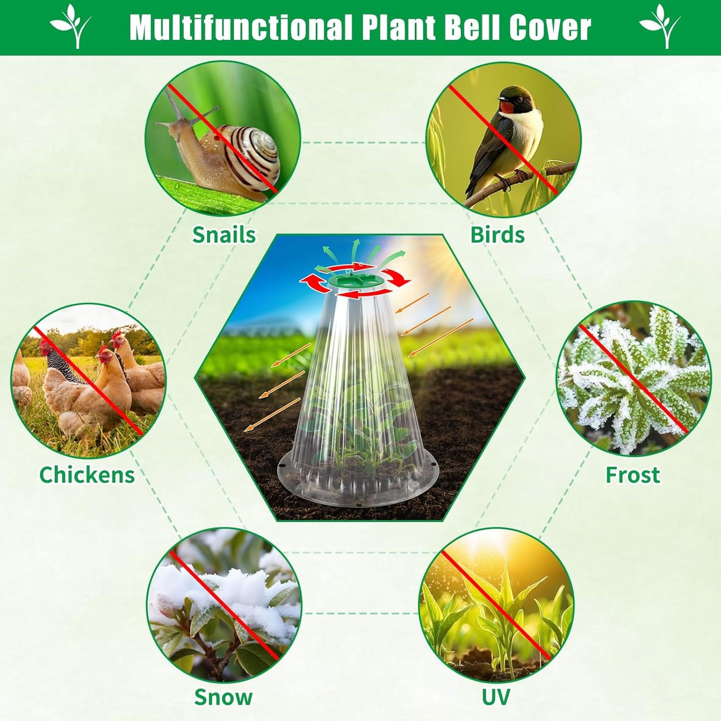 UQM 50 Pack Garden Cloches for Plants, Reusable Bell Plant Protector with Rotary Vent Cover, Garden Protection from Animals Snails Birds Chickens Insect, 9.44" H X 8.07" D (Clear)