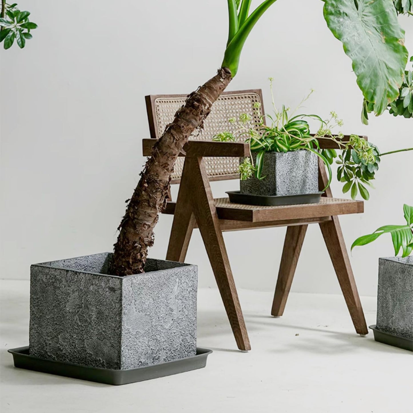 Square Plant Saucer 6inch 5 Pack, Plastic Plant Saucers, Plant Water Dray Tray, 8 10 12 14 16 18 20 Inch Garden Planters for for Pots Base Indoors and Outdoors Plants(6 inch Black)