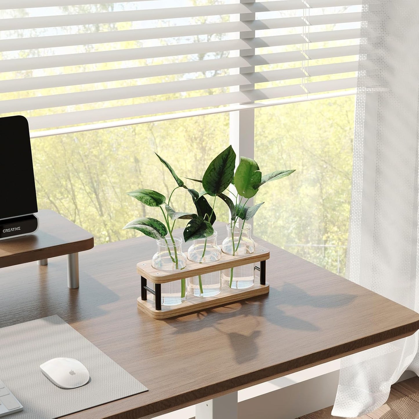 THYGIFTREE Plant Propagation Station with Wooden Stand, Propagation Vases Glass Planters for Indoor Plants Hydroponic Propagating Jars Home Office Decor, Plant Lover Gifts