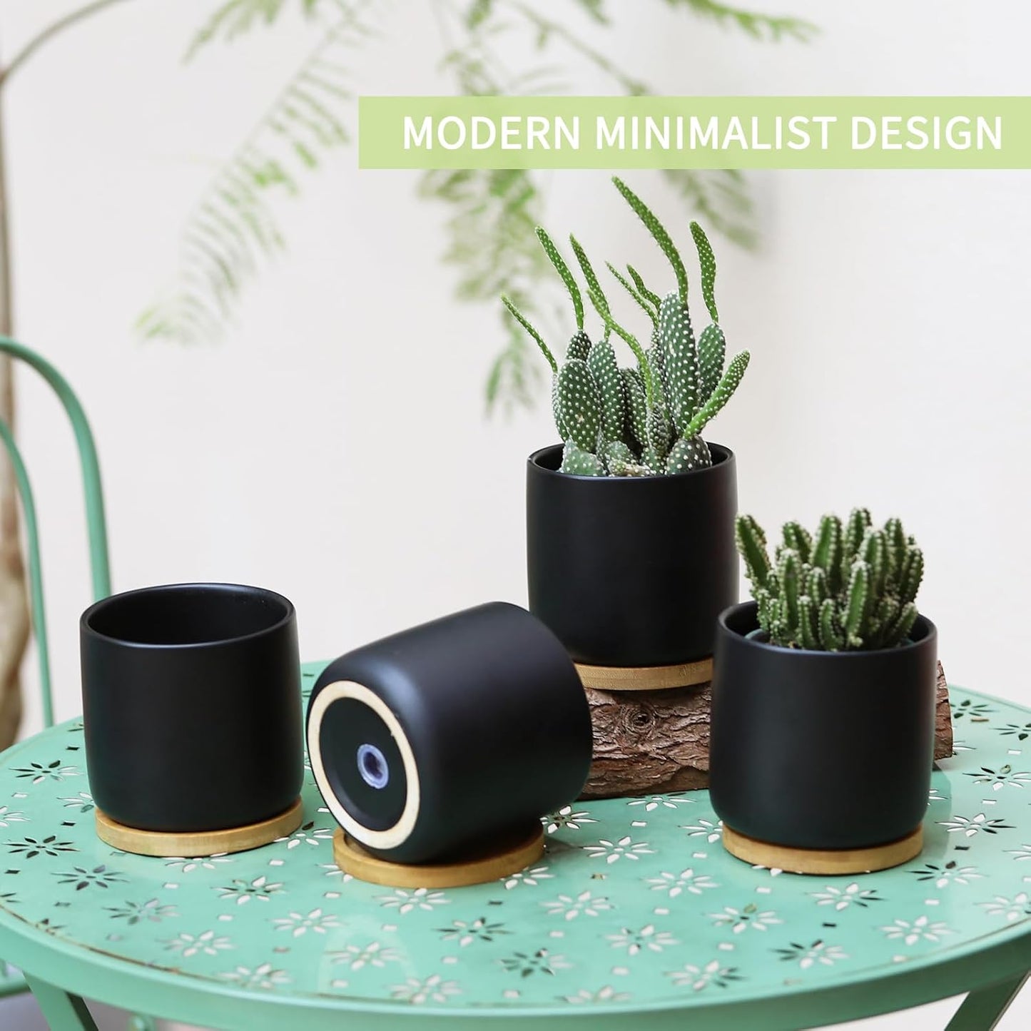 4 Inch Ceramic Plant Pots with Drainage Holes and Trays, Adorable Small Cylinder Flower Planter Pot for Indoor Plants, Succulent, Snake Plants, Cactus & Herbs, Black, Set of 4