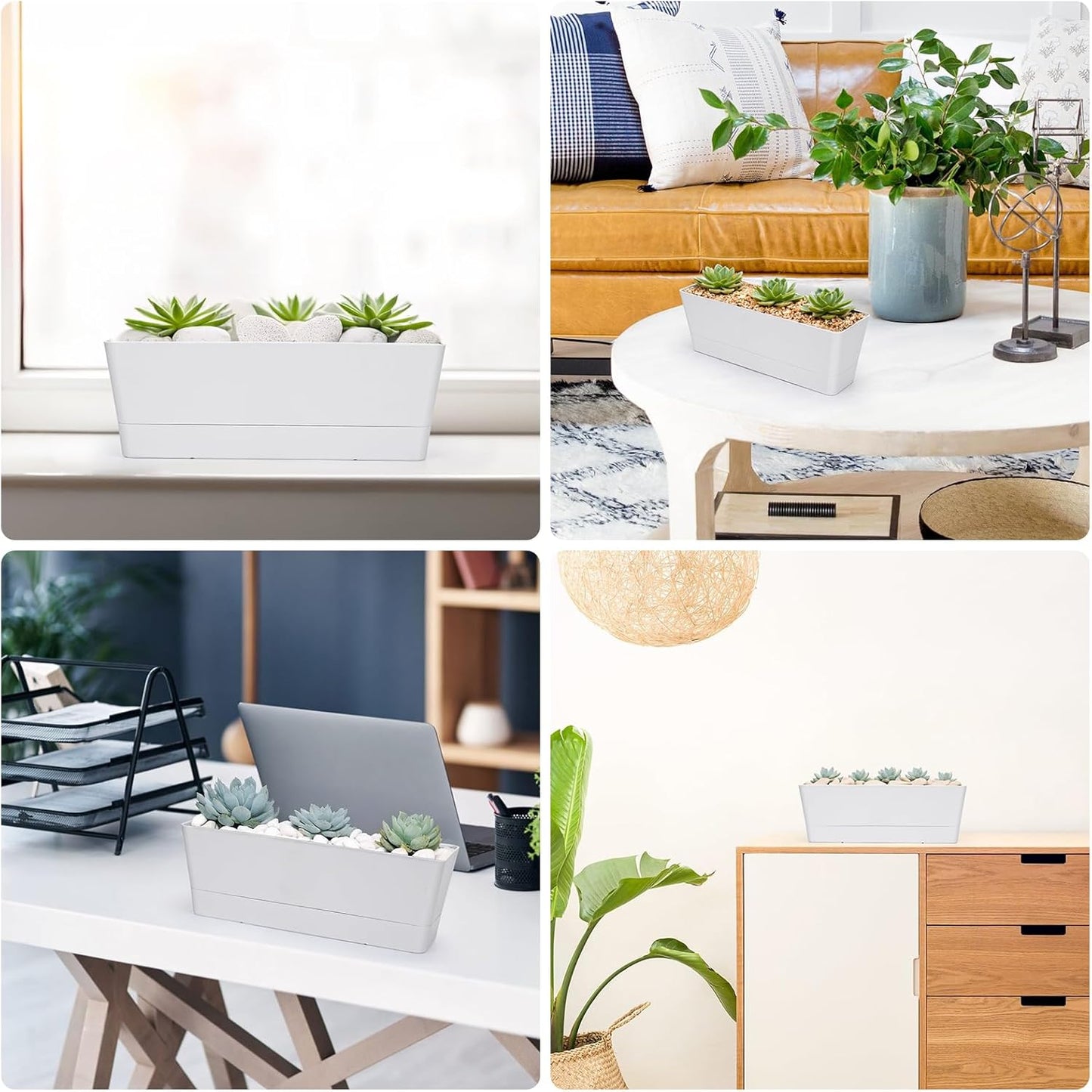 GREANER 12x3.8 Inch Herb Planters, 6 Pack White Rectangle Window Boxes with Tray, Indoor Succulent Cactus Mint Plastic Pot with Saucer for Windowsill, Balcony, Office, Outdoor Garden