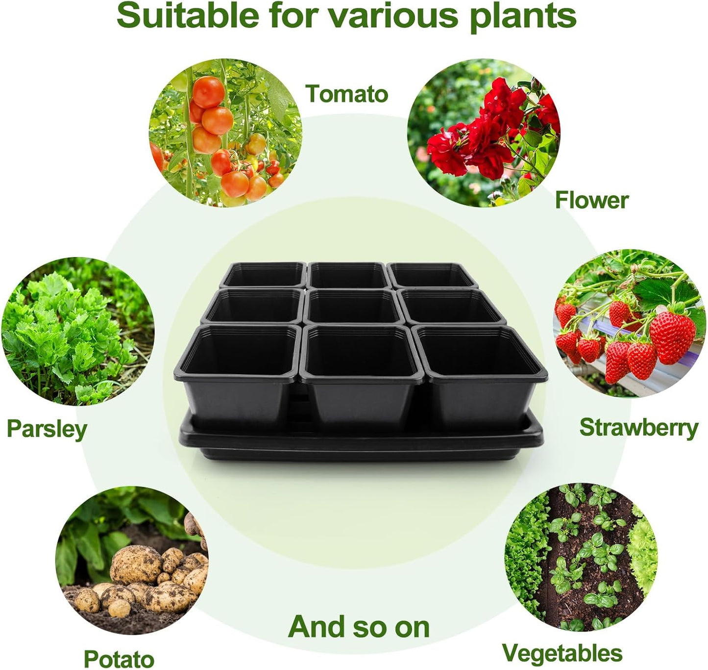 50Pcs 3.5inch Square Nursery Pots with 5Pcs Seed Starting Trays, Seed Starter Tray Kit, Seeds Starting Germination, Seeding Pots with Drain Holes, Small Plant Nursery Propagation