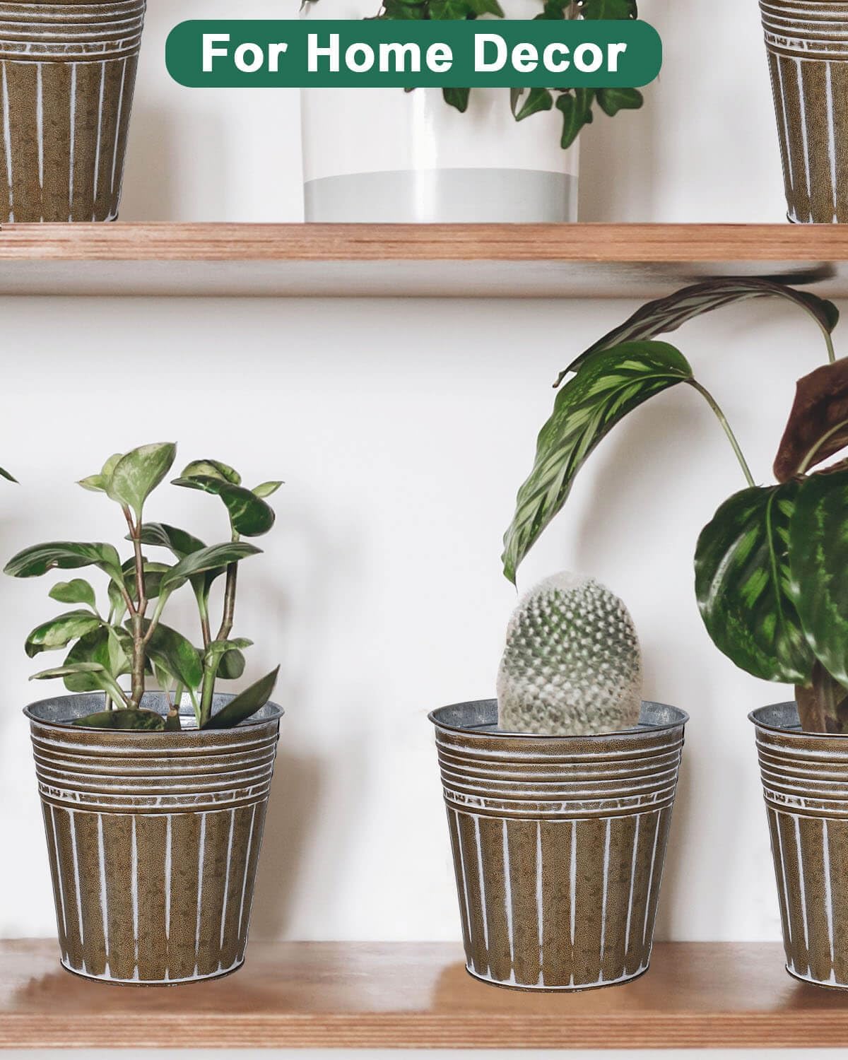 vensovo 6 Inch Brown Metal Rustic Flower Pots - 6Pcs Galvanized Planters with Drainage Hole and Rubber Plug, Rustproof Small Metal Bucket Plant Pots Farmhouse Vintage Style for Decor