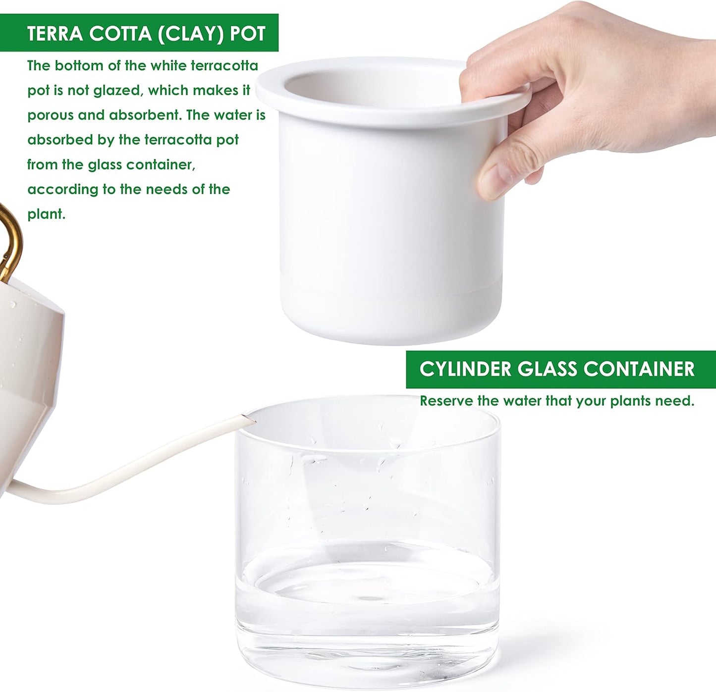 Phoenix Vine 4 Inch Self Watering Planter Pot, Design White Terracotta Pots for Plants, Indoor Cylinder Terra Cotta Pots with Glass Vase, Set of 1, 51-B-E-1