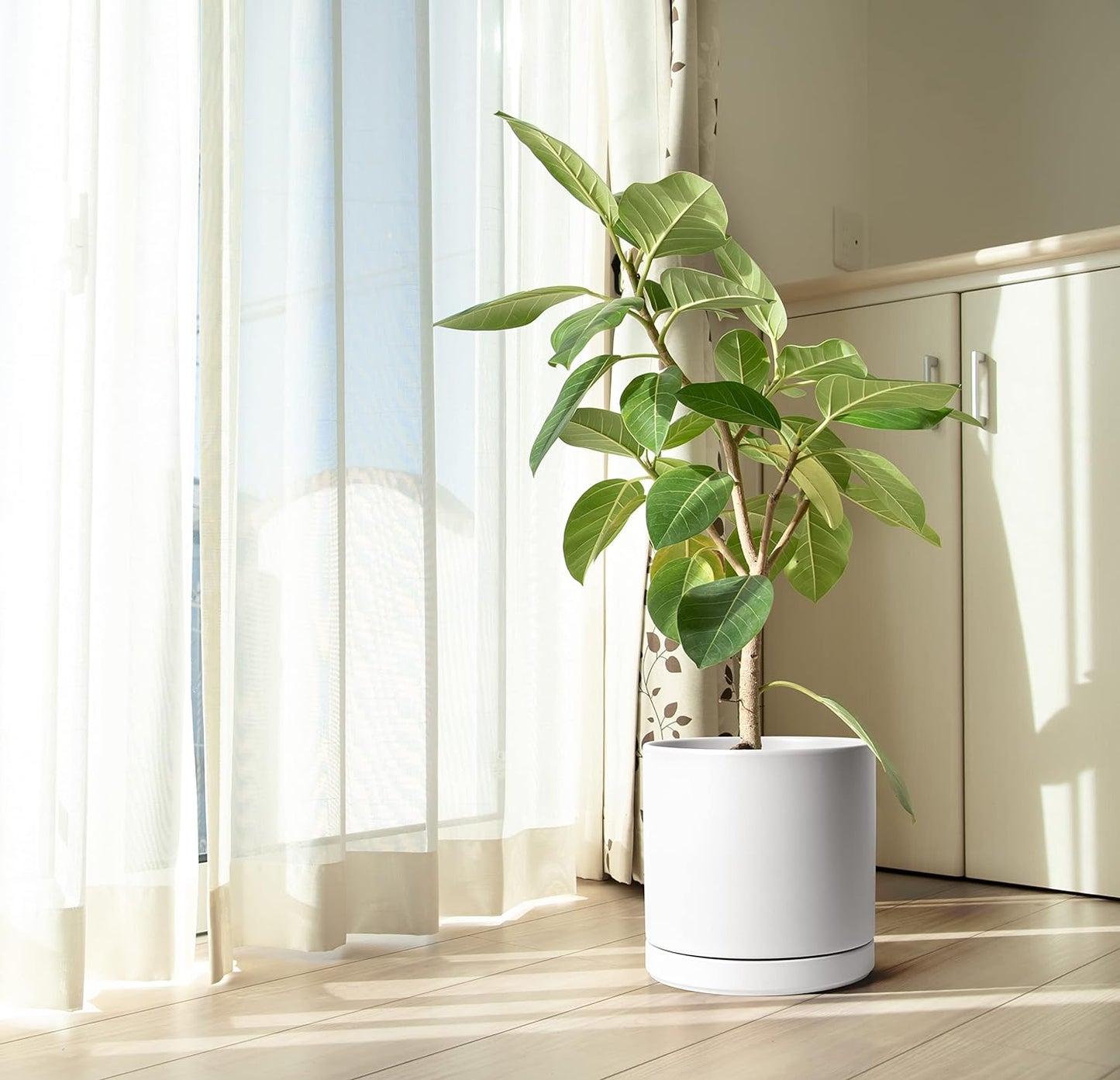 D'vine Dev 12 Inch Ceramic Planter Pot with Drainage Hole and Saucer, Indoor Cylinder Round Planter Pot, White, 94-O-F-1