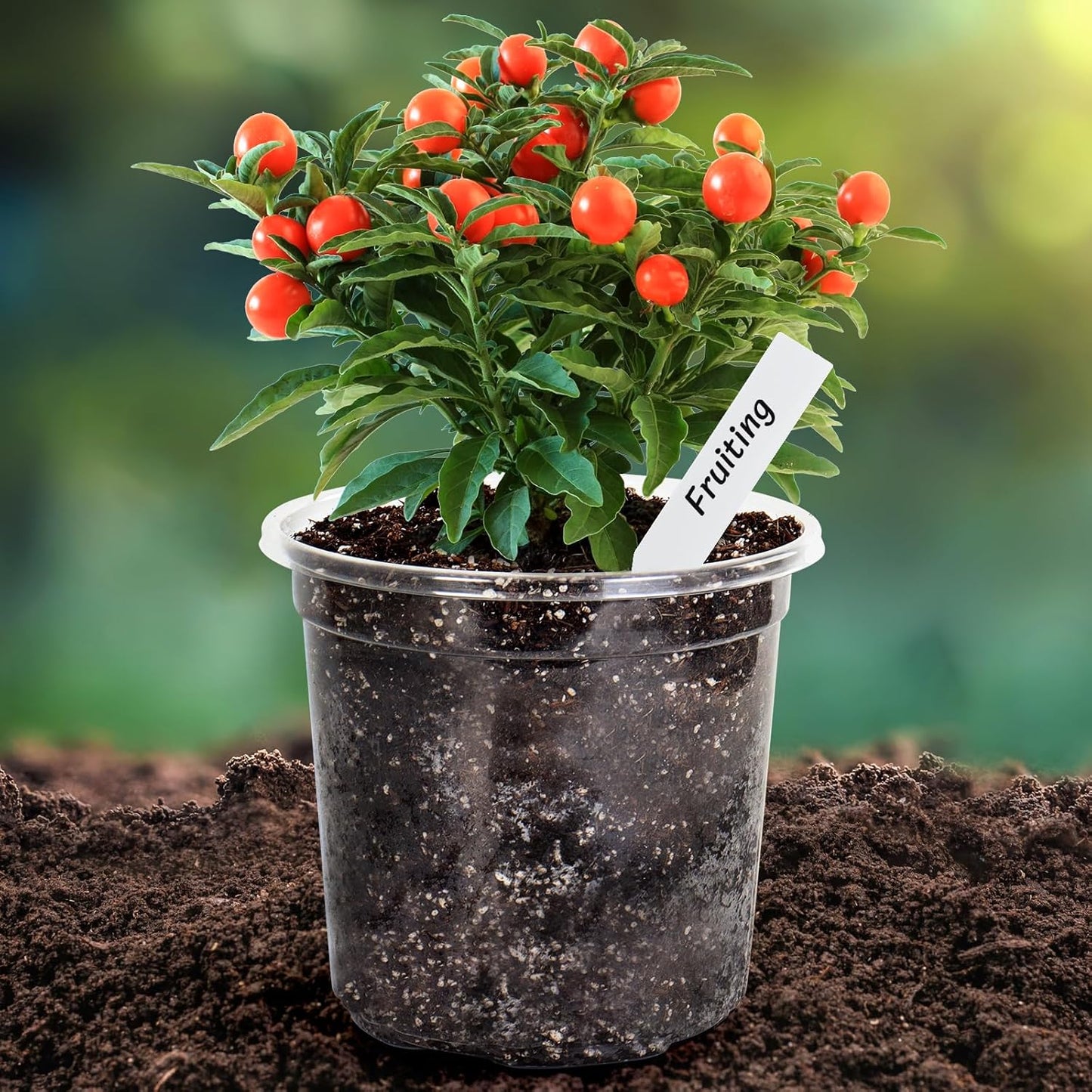 Bonviee 20 Packs 6.7 Inch Clear Nursery Pots, 1 Gallon Plastic Seedling Pots with Drainage Holes, Planters for Indoor Plants and Small Seed Starters, High Transparency Flower Pots with 10 Plant Labels