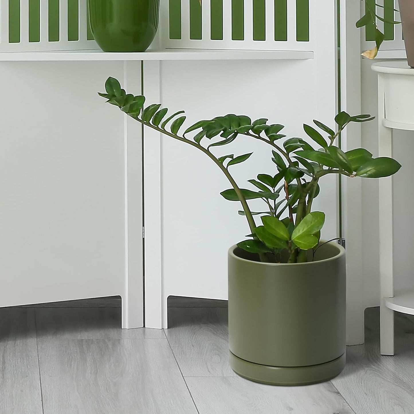 D'vine Dev 8 Inch Ceramic Planter Pot with Drainage Hole and Saucer, Indoor Cylinder Round Planter Pot, Olive, 94-O-D-J