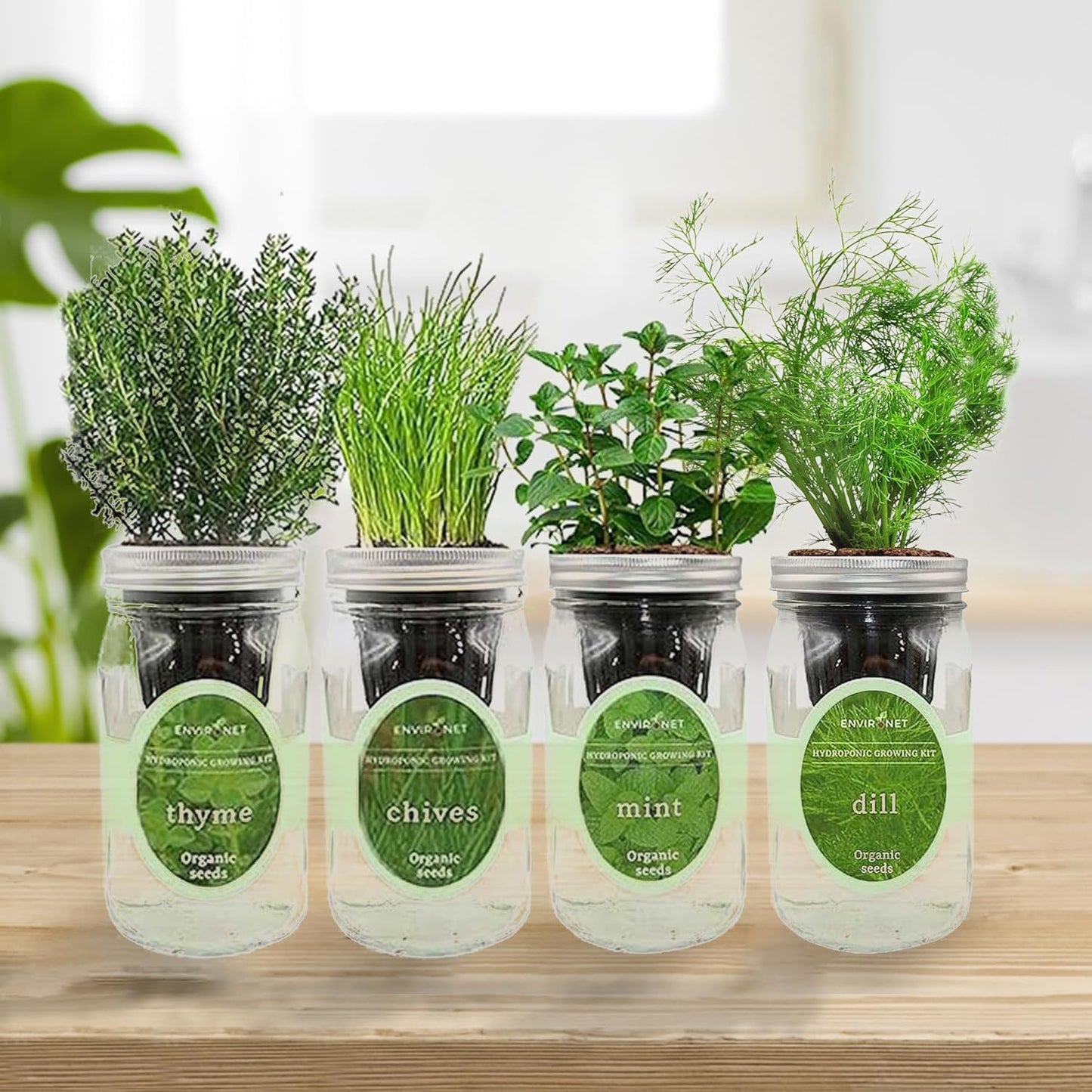 Hydroponic Herb Growing Kit Set, Self-Watering Mason Jar Herb Garden Starter Kit Indoor, Grow 4 Kinds of Herbs from Seeds (Mint,Thyme,Chives&Dill)