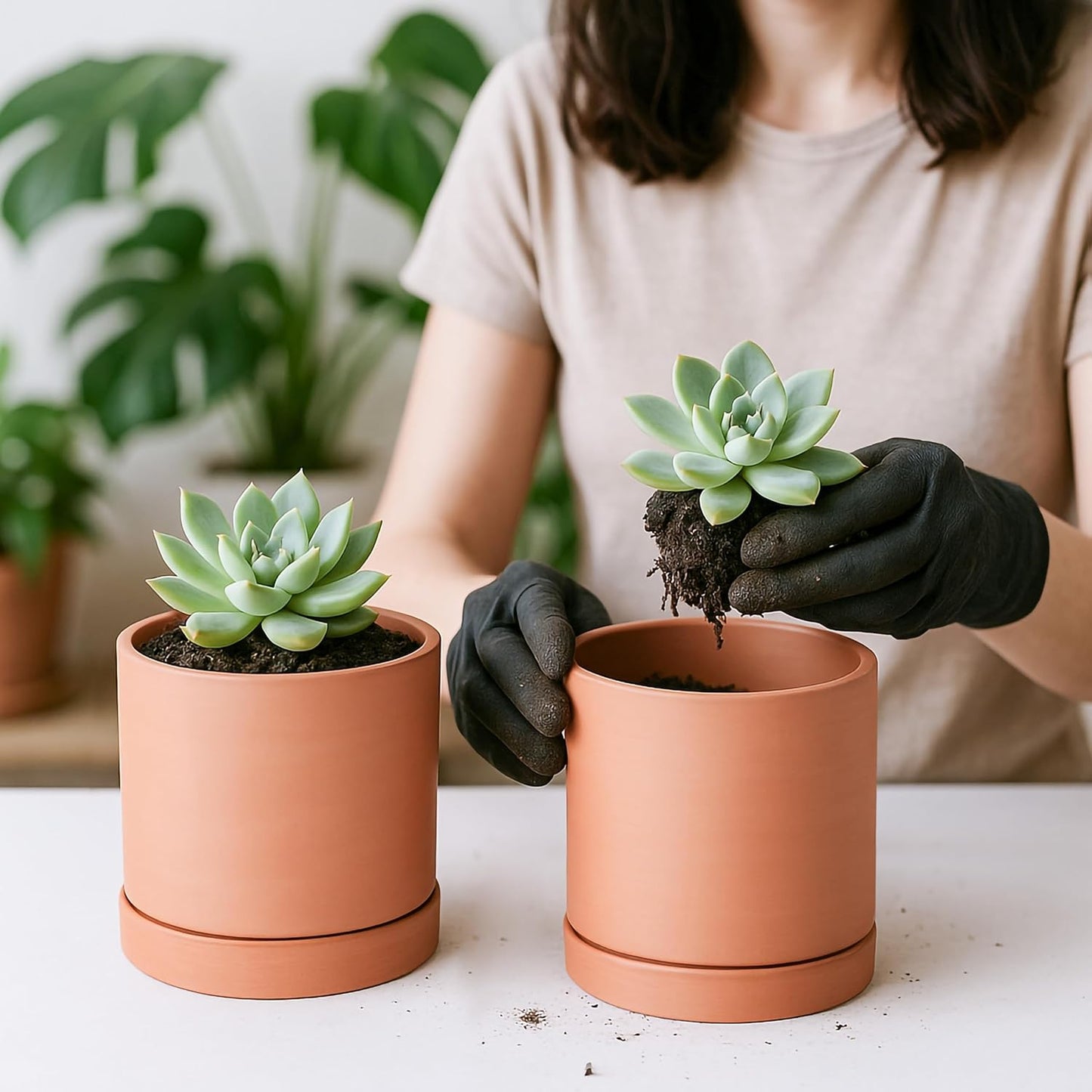 D'vine Dev Small 5 Inch Terracotta Plant Pot with Drainage Hole and Saucer, Round Cylinder Planter Pot for Indoor Plants, Set of 2, 40-X-B-2