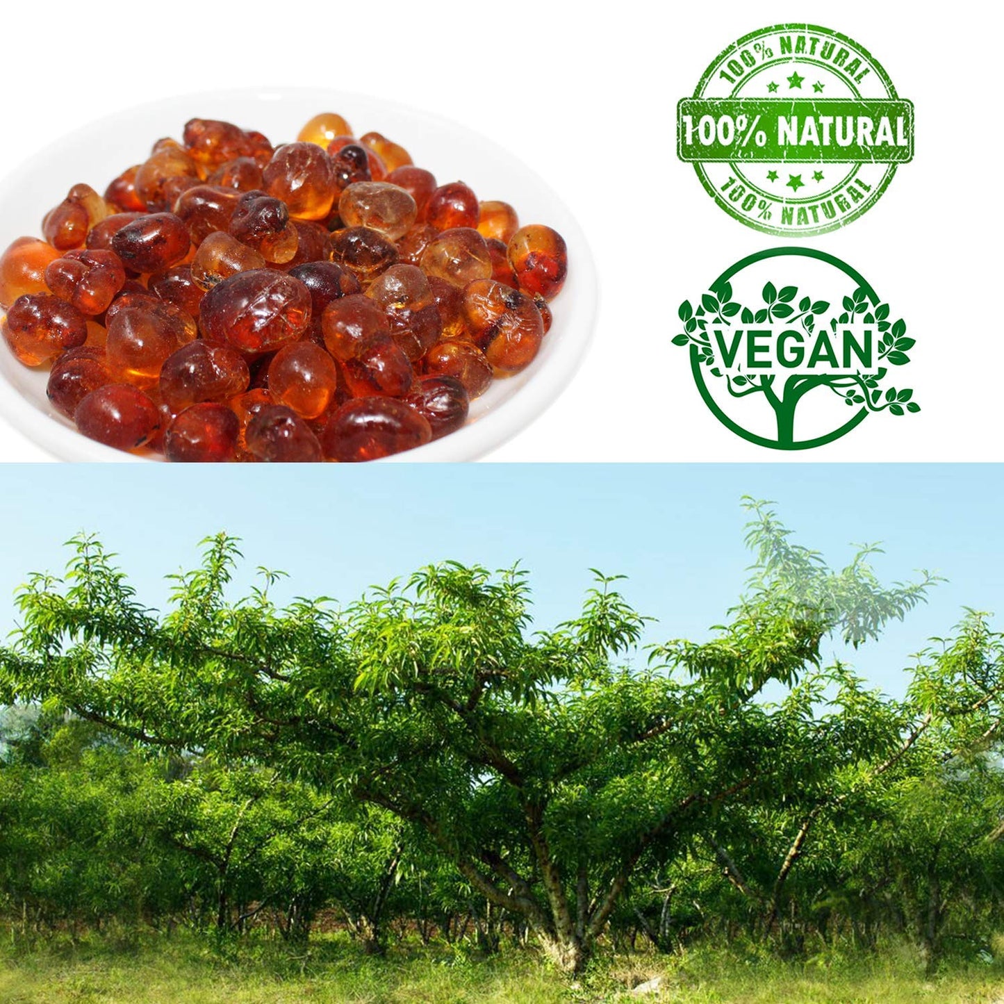 DABC OAK LAND Wild Peach Gum, 100% Natural Edible Peach Blossom, Tears Tao Jiao Peachs Resin, 滋補抗皺 桃膠 Collagen Boosting for Skin Health, Food Additives Free for Dessert, Drink, Soup, Tea, 1LB/Bag