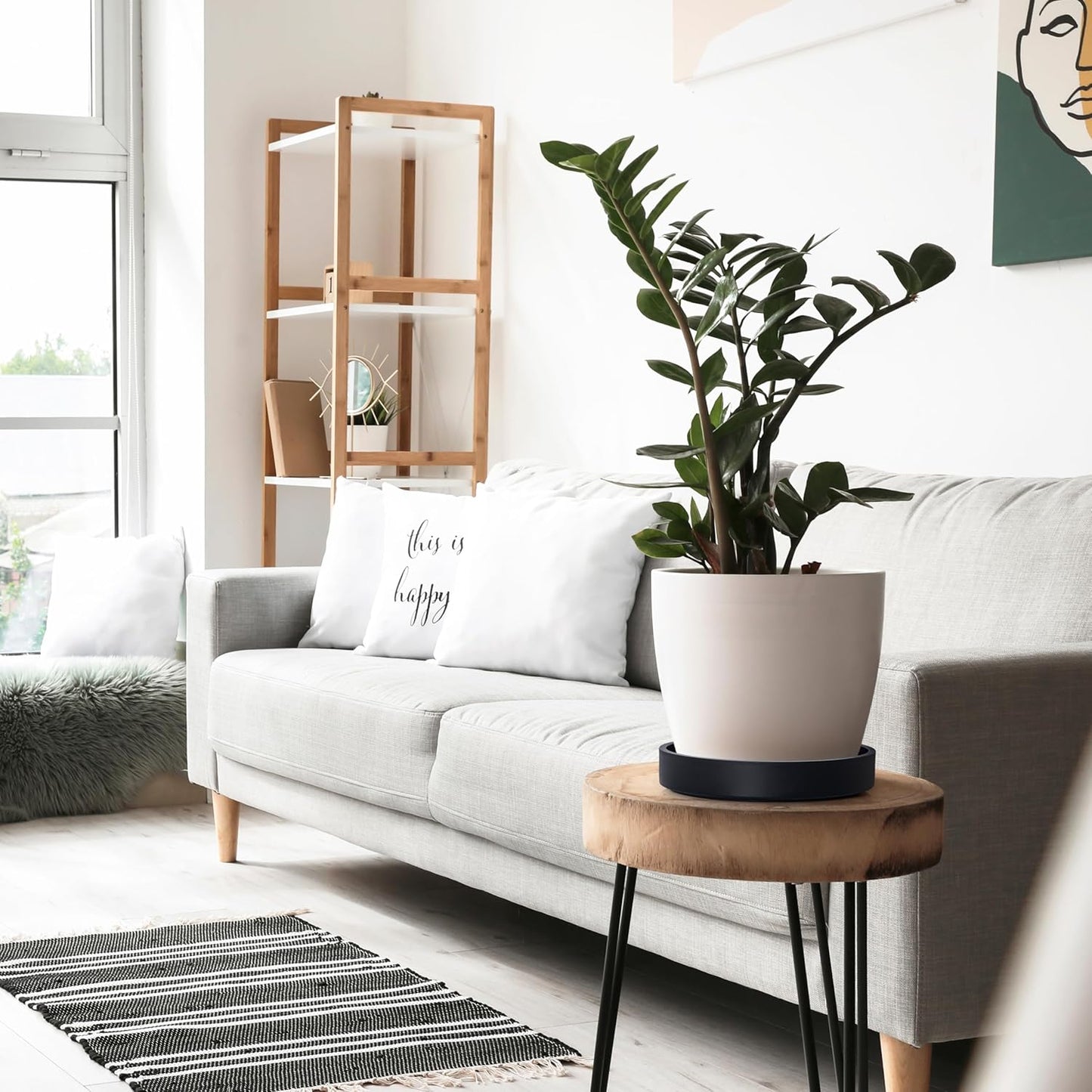 Phoenix Vine 8 Inch Plastic Plant Saucer Water Drip Tray, Heavy Sturdy Round Plant Drainage Tray for Indoors Outdoor, Matte Black, 21-TY-8B-1