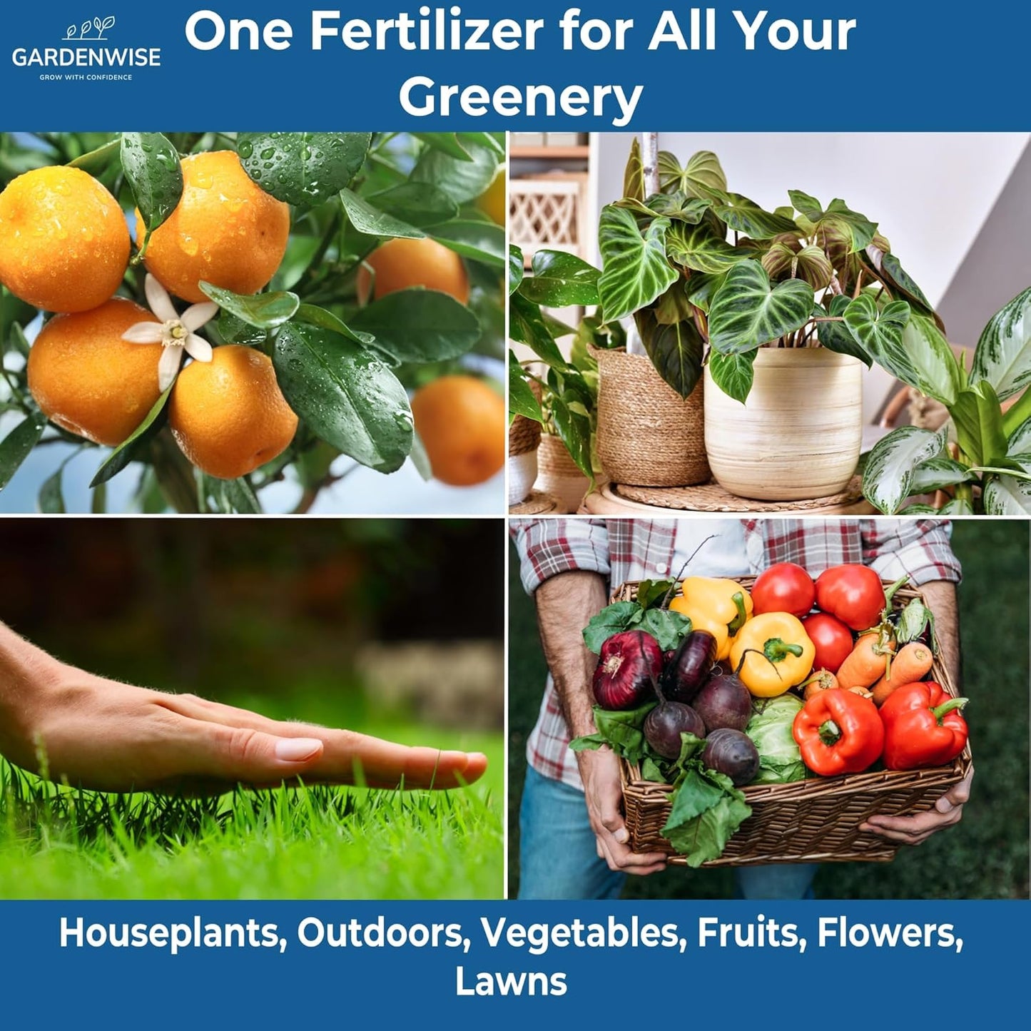 20-20-20 Water-Soluble Fertilizer – Powder for Liquid Plant Food for Indoor & Outdoor Plants, Orchids, Vegetables, Lawns, Flowers – 20 20 20 Fertilizer (8 oz)