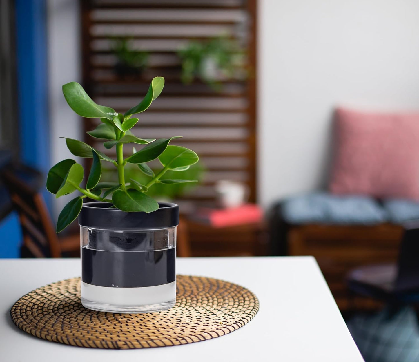 Phoenix Vine 4 Inch Self Watering Planter Pot, Black Terracotta Clay Pot with Glass Reservoir for Indoor Plants, Herbs, Flowers, Set of 4, 52-C-E-4