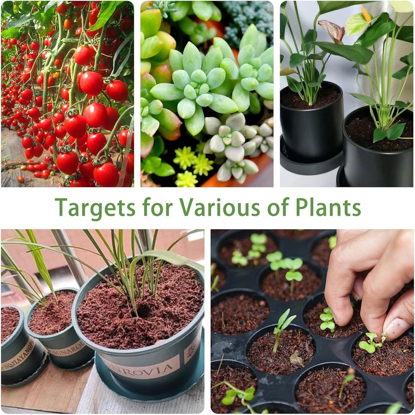 CJGQ Coco Coir for Organic Coconut Coir- 24 Pack Coco Coir Brick- Coconut Soil with Low EC & pH Balance-Coco Fiber for Herbs& Flowers- High Expansion-Renewable Coco Soil for Planting