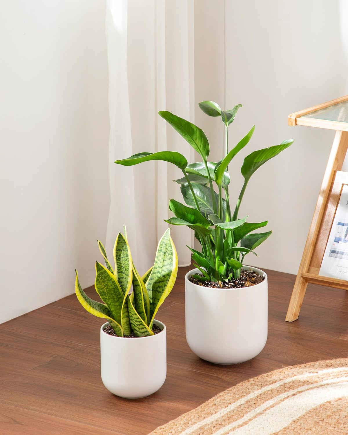 vancasso 6 Inch Ceramic Plant Pots, Planters with Drainage Hole, Flower Pots Planters Pots for Indoor Plants, Modern Indoor Decorative Garden Pot, Home Decor, White