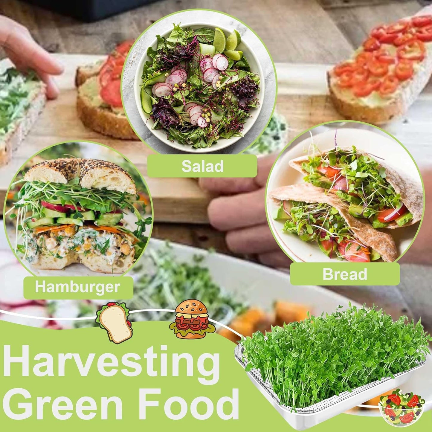 Stainless Steel Sprouts Growing Kit 3-Tier 12.4 inch Trays, Microgreens Growing Kit, Seed Sprouting Tray with Encrypted Mesh Sprouts for Beans Alfalfa Broccoli Wheat Grass